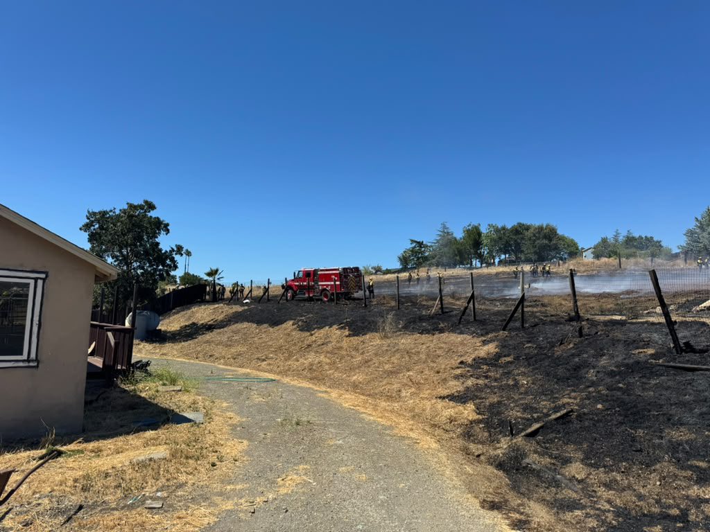 calfireSCU's tweet photo. #AlmadenFire [final] near the 20200 Blk of Almaden Rd east of Alamitos Creek, San Jose (Santa Clara County) is now 100% contained at 2 acres, due to better mapping. 

Thanks to a rapid and collaborative response by #CALFIRESCU and @SJFD, firefighters were able to quickly extinguish the fire. No structures were damaged.

All resources are clear of the incident and available for emergency response.
