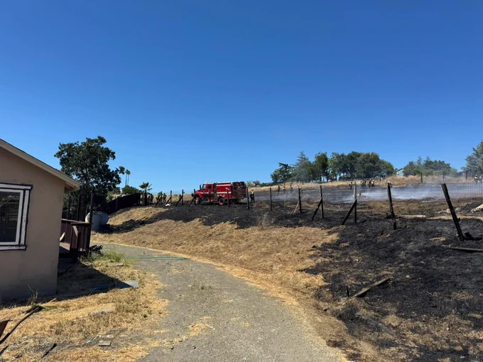 Burned vegetation