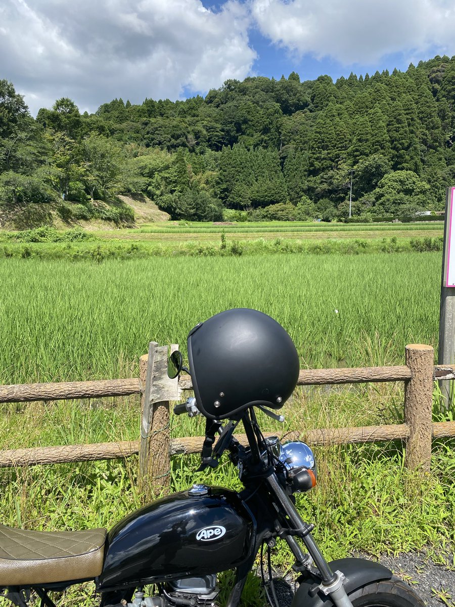 PATYGAME1's tweet photo. 試験終わったから　森に来た！ https://t.co/mhoS2Ss7PA