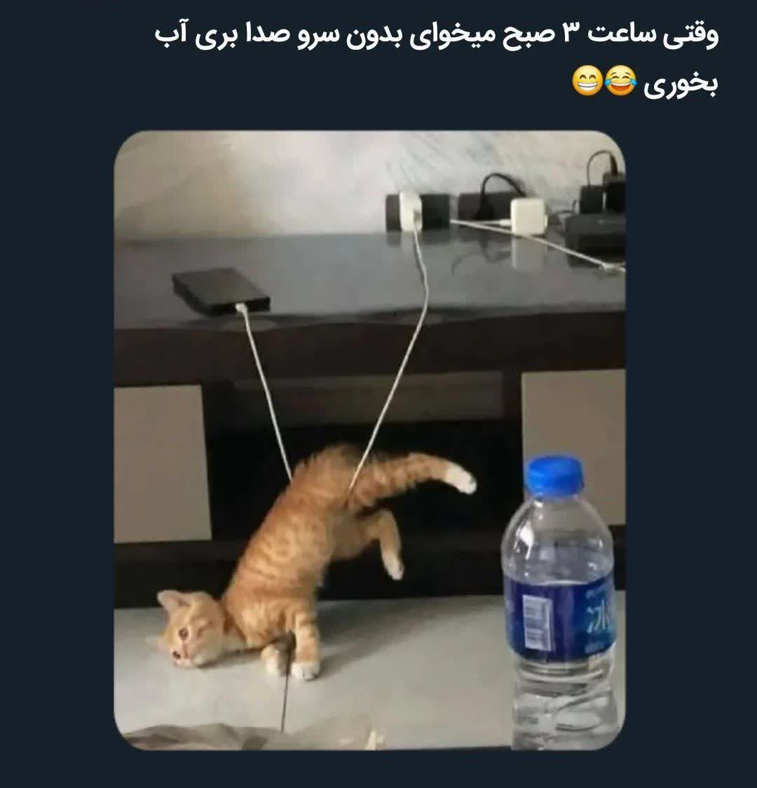 Saha494258's tweet photo. حقققققق تا ابد:))
😂🤦
#فالو_بک 
#فالوبک_فوری 
#فالوبک_تضمینی https://t.co/YFJwCRG1db