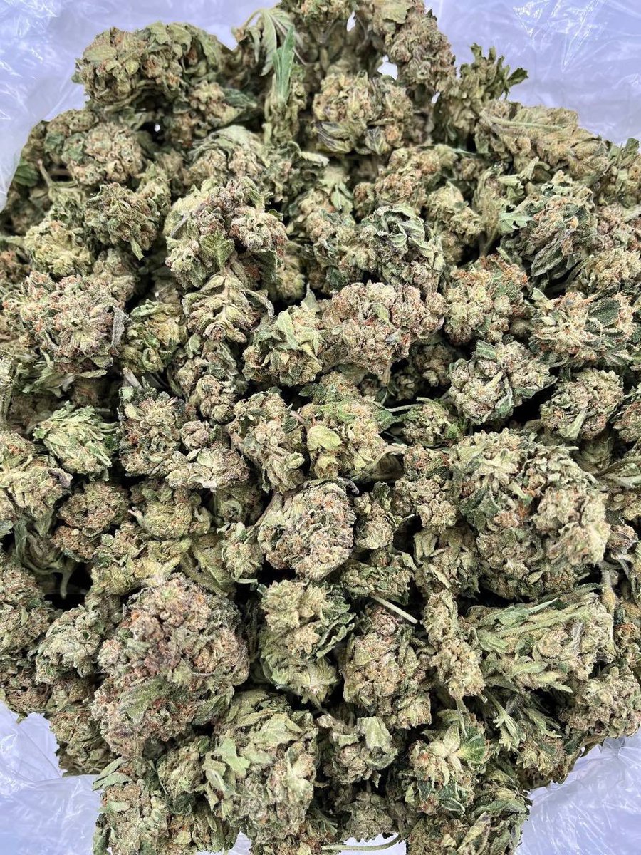 ExoticZaUS's tweet photo. ๐ซ๐ฅ Chocolate รclair delivers rich dessert-inspired flavor with smooth, creamy smoke that keeps you coming back. ๐จ๐ฟ
#ChocolateEclair #DessertStrain #gaspack https://t.co/dyu55Wi3yE