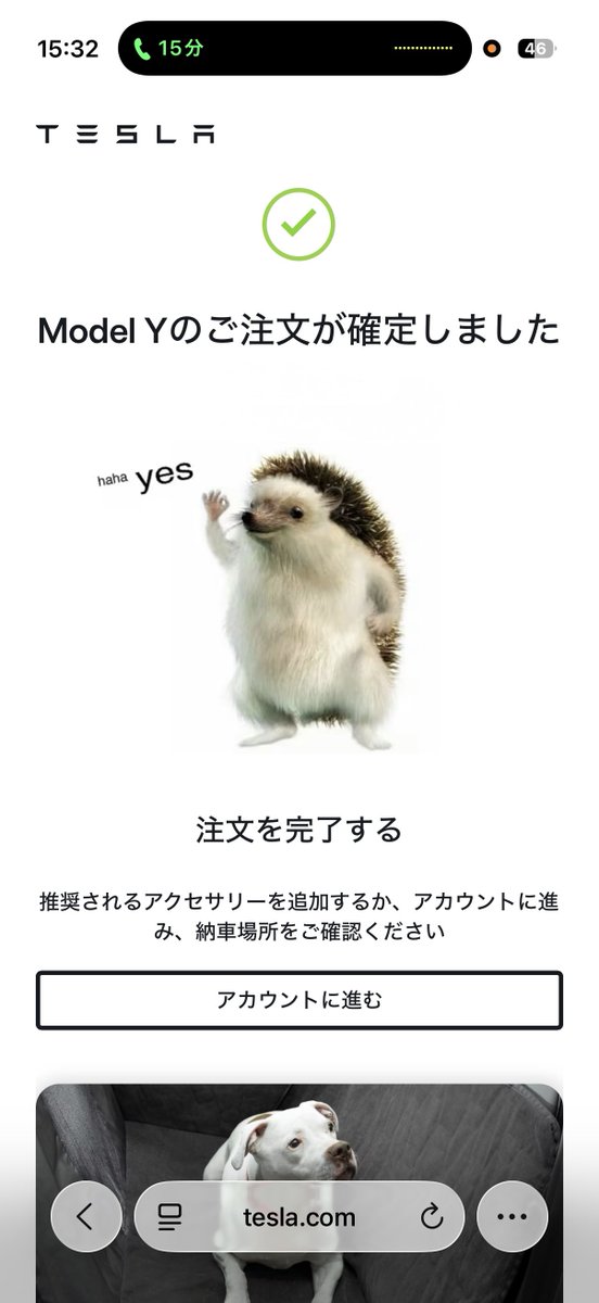 rhyrhyth10's tweet photo. テスラも買いました！
忙しいです！ https://t.co/z52ppeMA8v