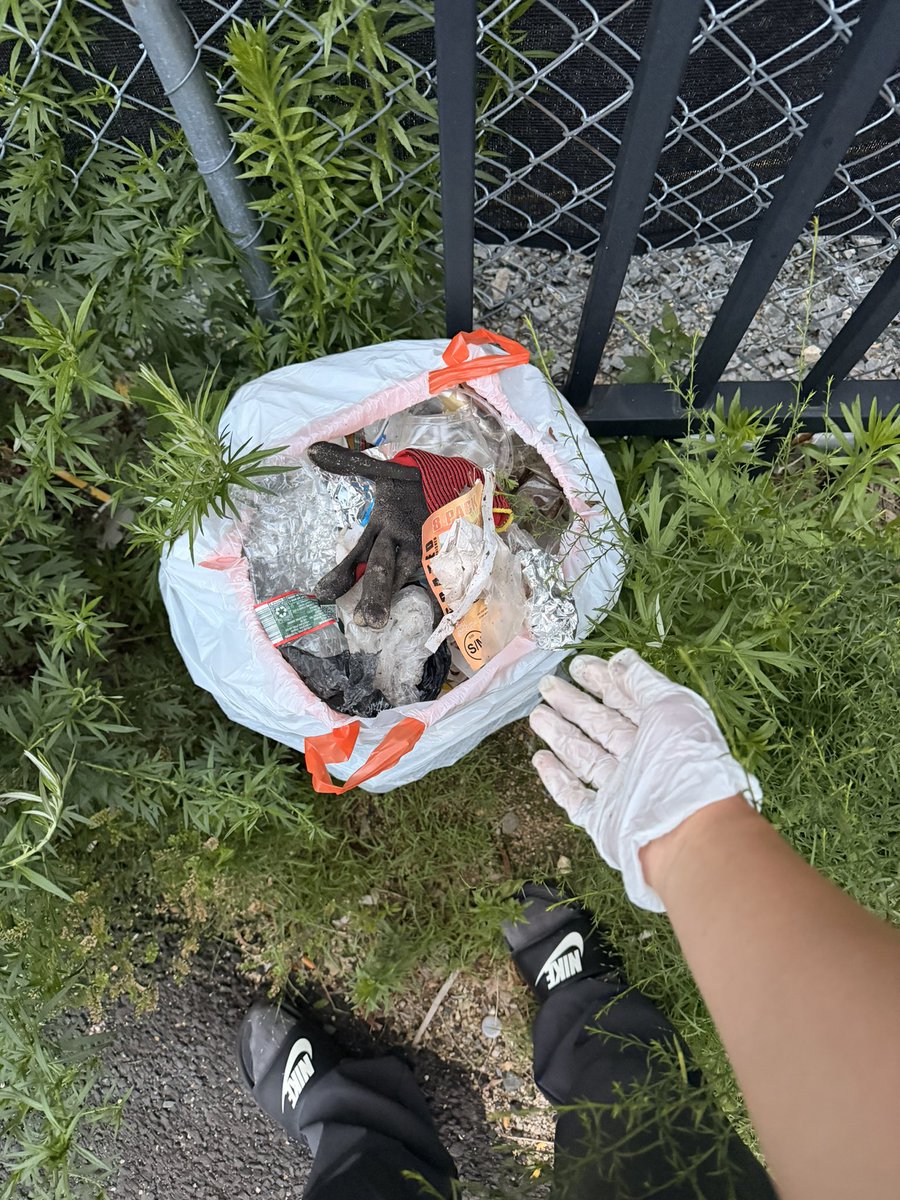 HarveyHBB's tweet photo. My guilty pleasure: picking up trash after dinner https://t.co/igI2E635y9
