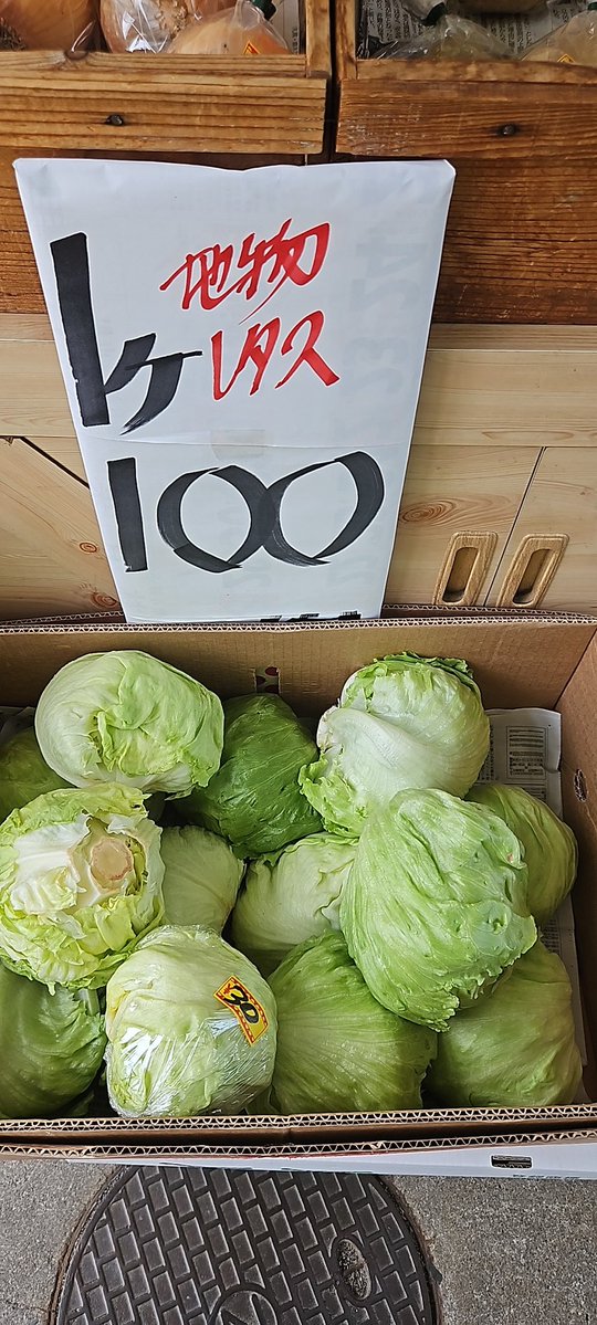 aibafruit's tweet photo. おはようございます😃
今朝は晴れ上がって気持ち良い朝です
お盆も近いので準備に忙しいです😙
今日は、
美味しい袋トマト🍅1袋200円
レタス(地物産)1個100円
切ったスイカ🍉1切350円(好評です😆)
バナナ🍌1袋100円
今日も元気よく一日行きましょう😄
よろしくお願いします🙇‍♂️⤵️ https://t.co/qfvdqkWP5i