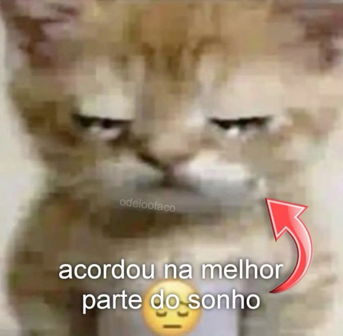 shitpostverdade's tweet photo. https://t.co/npzrUDlK8H