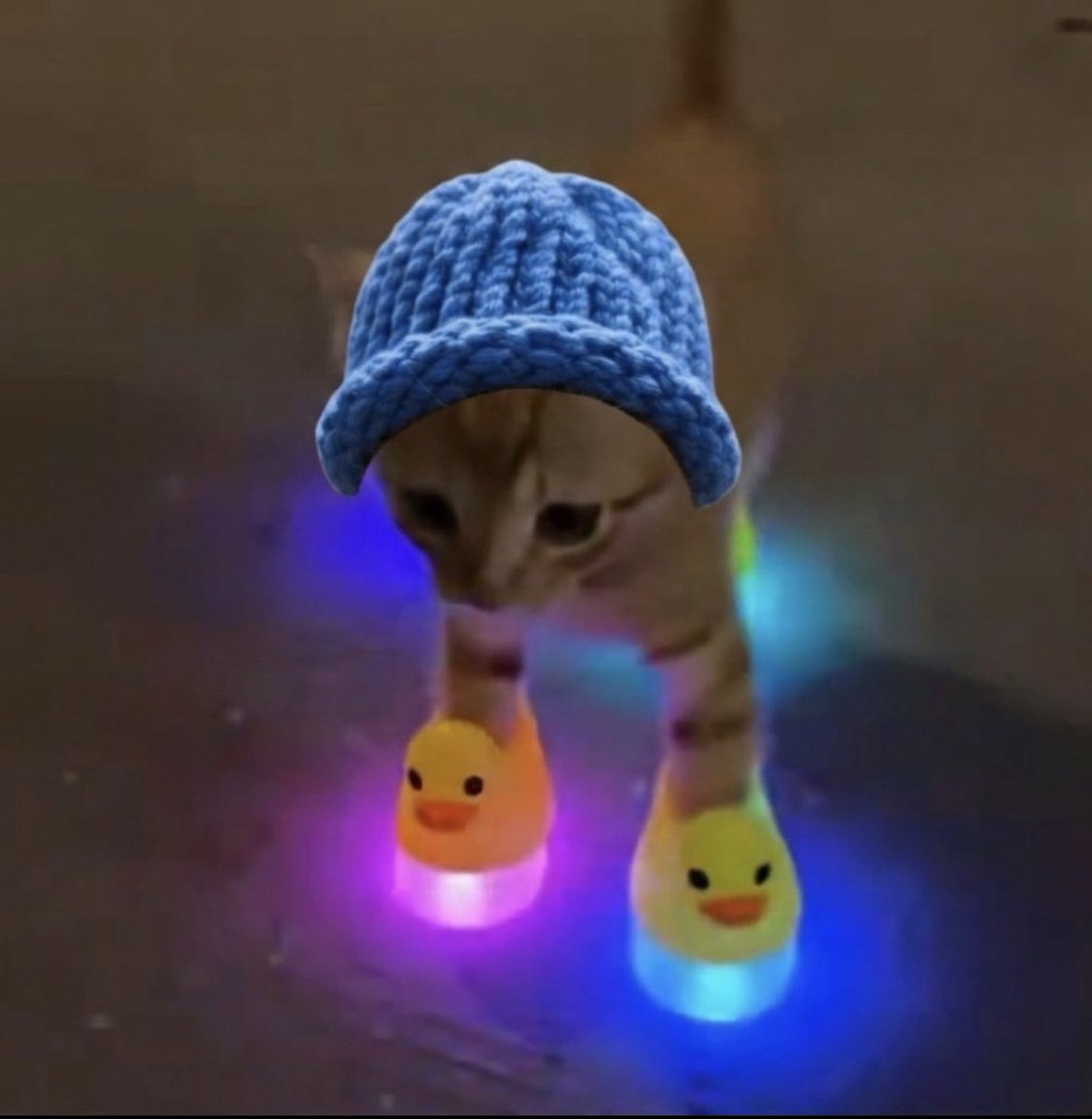 TrenchWizard1's tweet photo. $glowcat will be everywhere soon 🚀 https://t.co/usJRllv6eU