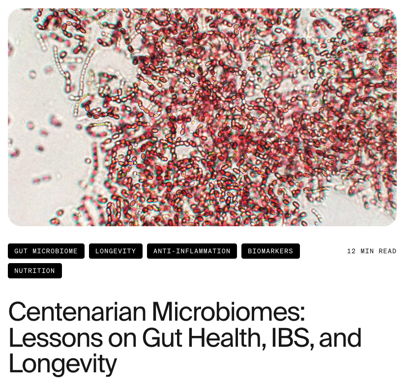 dantawfik's tweet photo. Most people's gut microbiomes age faster than their bodies. A 117-year-old's did the opposite. A preprint analyzing Maria Branyas Morera found her gut microbiome resembled someone decades younger, with specific bacterial signatures linked to anti-inflammatory pathways and metabolic resilience.

Researchers used 16S rRNA gene sequencing on blood, saliva, urine, and stool samples to map her microbial composition and compare it against healthy non-centenarian controls aged 61 to 91. They measured alpha diversity within her gut and beta diversity relative to controls.

The findings weren't subtle. Her biological age, calculated using DNA methylation across six epigenetic clocks, ranged from 84 to 108 years. Significantly younger than her chronological age of 117. But the microbiome data revealed something more mechanistic.

Her gut exhibited higher within-sample diversity compared to controls. Higher microbial diversity correlates with greater disease resilience, improved metabolic function, and reduced systemic inflammation. All three are hallmarks of healthy aging, and all three typically decline after age 70 in most populations.

She had elevated levels of Bifidobacterium compared to controls, a beneficial genus that typically declines with age. Bifidobacterium species produce short-chain fatty acids, particularly acetate, which maintain intestinal barrier integrity and reduce pro-inflammatory cytokine production.

This matters because systemic low-grade inflammation drives age-related disease progression. SCFA production through microbial fermentation of dietary fiber creates a metabolic environment that limits inflammatory signaling before it becomes chronic.

Her microbiome also showed lower levels of Clostridium than younger controls, a genus associated with inflammatory, aging-related diseases. Certain Clostridium strains produce toxins that damage intestinal barriers and promote inflammatory cascades.

The mechanism isn't just about which bacteria are present. It's about metabolic outputs. Centenarian microbiomes appear optimized for SCFA production, barrier maintenance, and inflammatory regulation through decades of sustained microbial diversity.

This aligns with broader centenarian cohort studies. A 2022 analysis found older individuals with maintained microbial diversity had resilience patterns linked to early-life environmental exposures: growing up on farms, limited antibiotic use, higher pathogen exposure during development.

The implication is that microbiome composition in the seventh and eighth decades may reflect decisions made in the third through fifth decades. Antibiotic overuse, chronic stress, low-fiber diets, and lack of physical activity all reduce diversity during periods when the microbiome should be most resilient.

Dietary fiber intake drives this directly. Fiber fermentation by gut bacteria produces butyrate, acetate, and propionate. SCFAs with documented anti-inflammatory effects. High-fiber, plant-rich diets correlate with Bifidobacterium abundance. High-fat, low-fiber diets promote pro-inflammatory species.

Emerging interventions target this pathway. Bifidobacterium probiotics are being studied for effects on age-related cognitive decline, metabolic disease, and frailty. Early clinical findings suggest certain strains improve memory, orientation, and slow brain atrophy progression in mild cognitive impairment.

Fecal microbiota transplants and targeted synbiotics represent more aggressive approaches, though they're not yet standard care. The question is whether restoring centenarian-like microbial diversity in midlife can reverse or prevent the inflammatory drift that defines biological aging.

Microbiome dysbiosis can be transient or chronic. Transient dysbiosis from antibiotics or acute illness is reversible. Chronic dysbiosis involves long-term imbalances that contribute to persistent inflammation, impaired nutrient processing, and weakened immune response.

Over time, chronic dysbiosis accelerates biological aging and increases vulnerability to metabolic disorders and neurodegeneration. The decisions about diet, stress management, antibiotic use, and physical activity in the fourth and fifth decades may determine whether dysbiosis becomes chronic or whether diversity is maintained.

Centenarians aren't maintaining a single ideal set of microbes. They're maintaining resilient, diverse ecosystems capable of adapting to metabolic and environmental stressors without shifting toward pro-inflammatory dominance.

The gut microbiome of a 117-year-old supercentenarian looked decades younger than chronological age would predict. The mechanisms involve sustained microbial diversity, elevated SCFA-producing bacteria, and reduced pro-inflammatory species. The question is whether those patterns can be engineered through intervention or whether they require decades of sustained lifestyle decisions that most populations don't make.