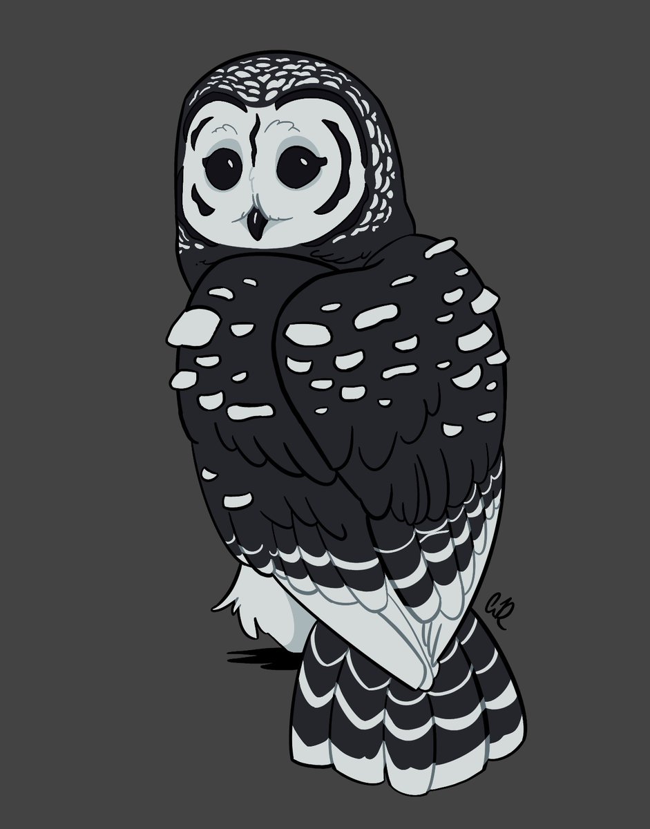 DethArtist's tweet photo. Speaking of, throwback to the last time I drew a barred owl, combined with the fungus Amanita Galactica https://t.co/Smiaogkpik