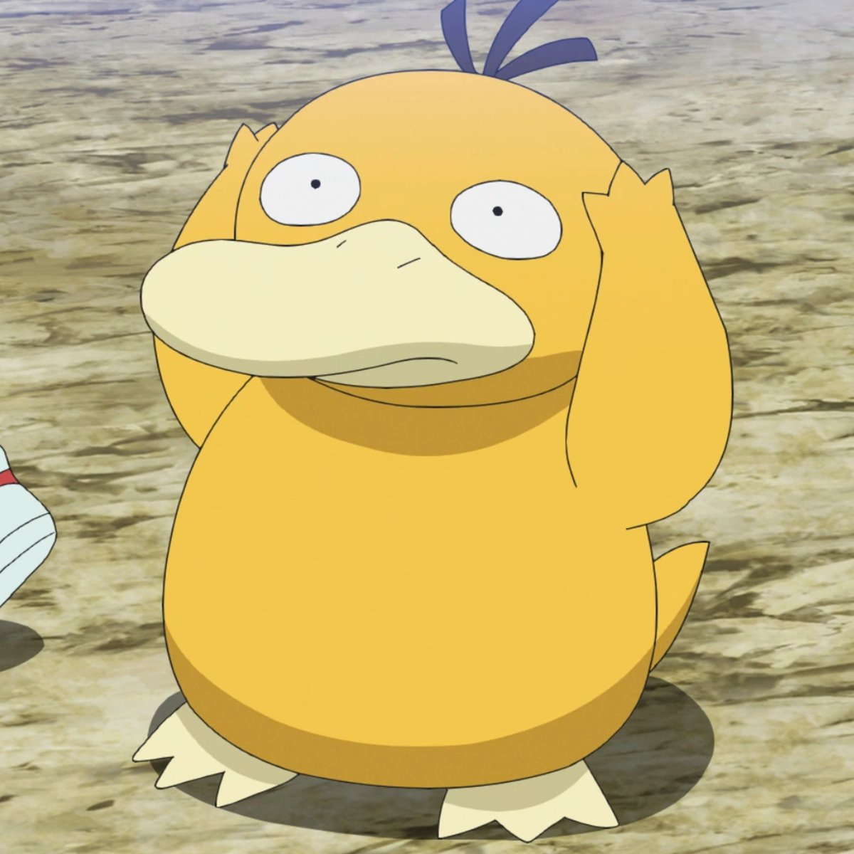Dexerto's tweet photo. Pokemon's Psyduck could finally be getting a major upgrade in Winds &amp; Waves

According to a leak, Psyduck will get a new Ice/Psychic regional form and two new evolutions https://t.co/34y8hULHDo