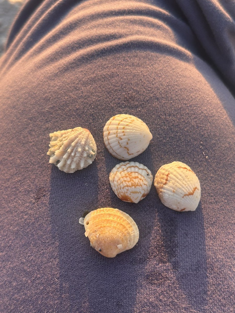 9therworldly's tweet photo. brought my crochet to the beach and watched the sunset <3 https://t.co/kvYVlTM3iZ