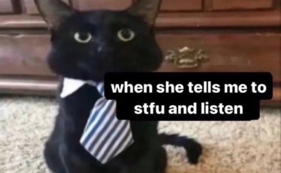 literallymecats's tweet photo. https://t.co/LlyY1yUAis