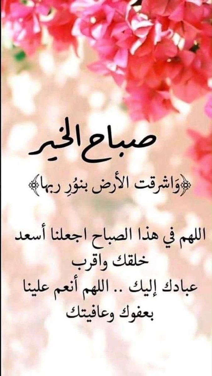 omibrahim_w's tweet photo. https://t.co/SvBdCkoFwk