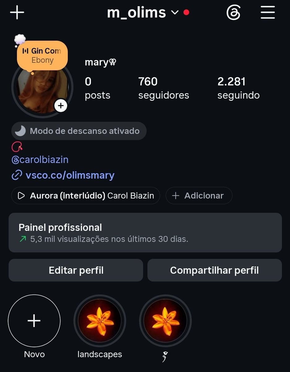 m_olims's tweet photo. meu perfil ta mt lindinho af https://t.co/JGG5vuoEye