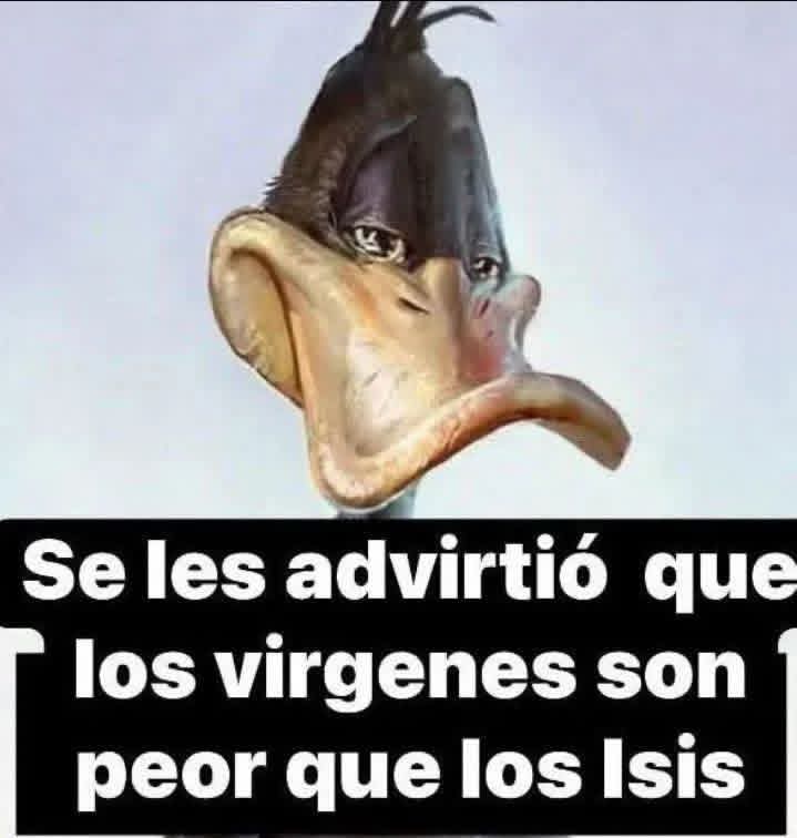 Chemo Genérico 🥷🪶 tweet media