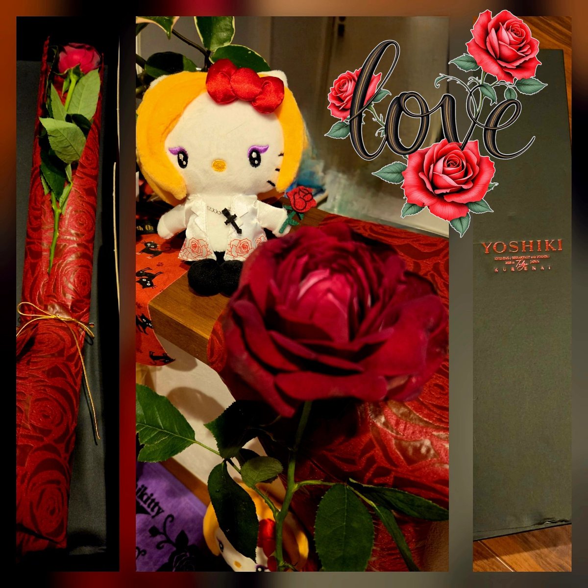 素敵なラッピングで美しい一輪の真紅に染まる薔薇を届けて頂いて