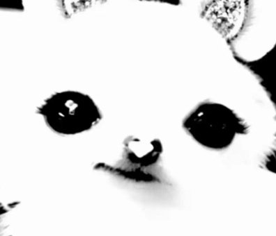 5prinkl's tweet photo. i need to update my intro https://t.co/Mvsr5MSVe3