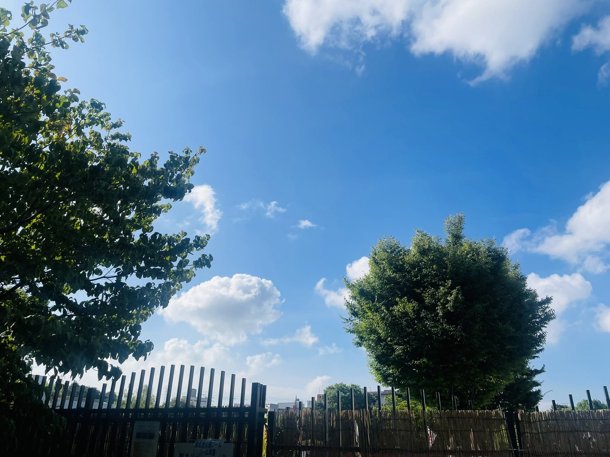 biyo_ri's tweet photo. #シチュー日和　本日16時オープン20時半まで前営業です。 外は朝から　夏の雰囲気たっぷり…日差しも強く。　始まりましたね…強烈な暑さは勘弁ですが…😑今週もよろしくお願い致します！ https://t.co/VAIignug5b