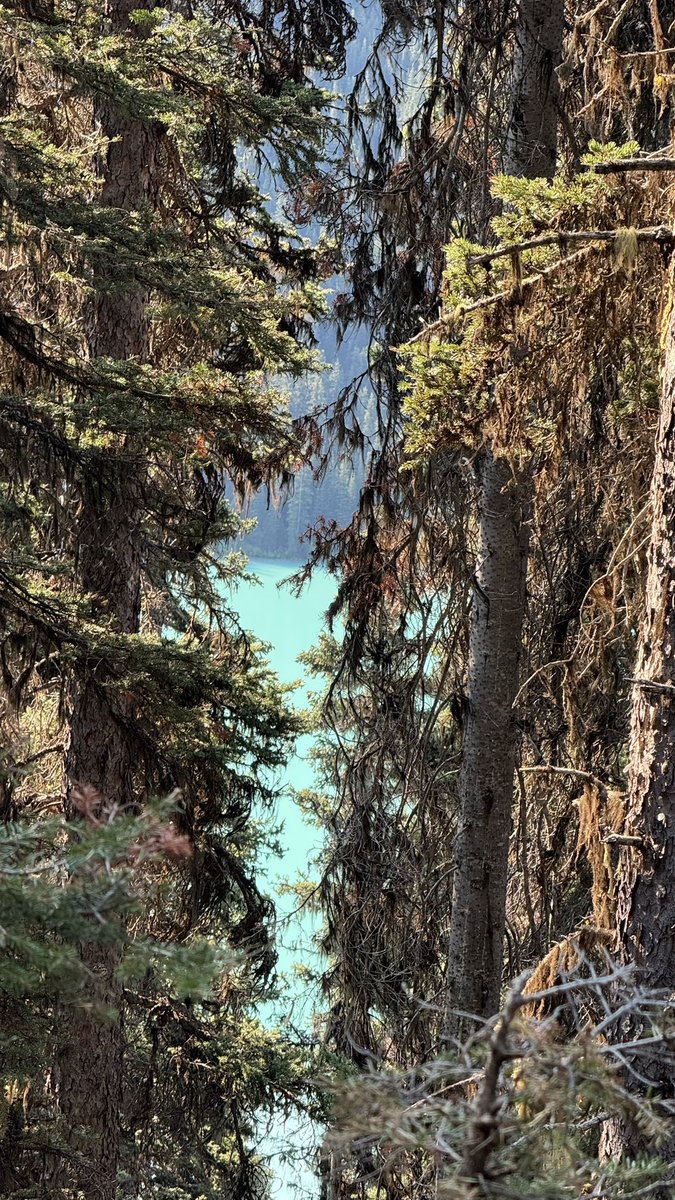 sludgerunners's tweet photo. i need to come back to lake louise https://t.co/v9YssiruvH