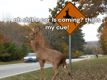 ipostdeer's tweet photo. deer for some reason https://t.co/XwuWbC9ky8