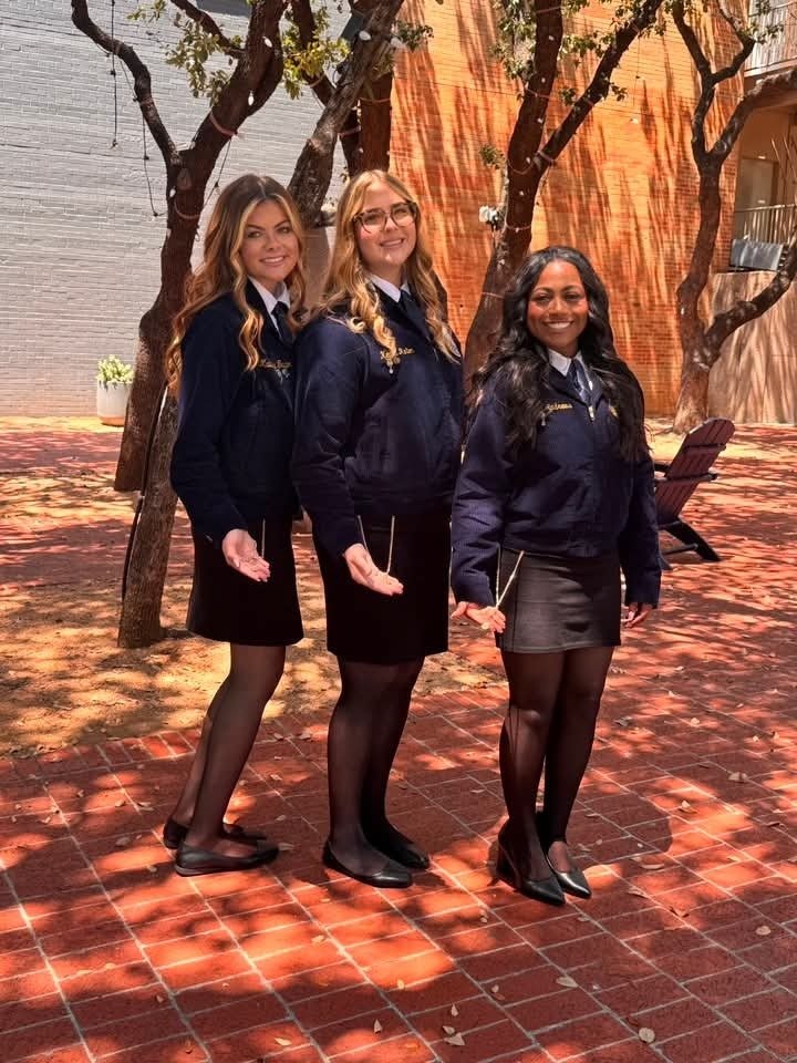 AlvinHSJackets's tweet photo. Congratulations to our FFA members Natalee Andrews, Kenna Minton, Madelyn Taylor and Noah Williams for earning the prestigious Lone Star Degree - the highest degree the Texas FFA Association can grant  to members. CONGRATULATIONS! #JPND https://t.co/uxfkiHzZYC