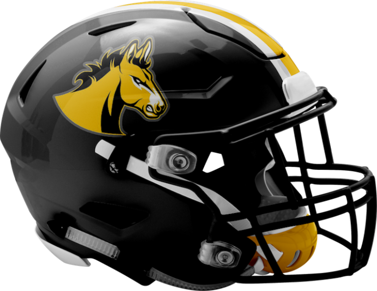 EPAFootball's tweet photo. Player Previews – Day 49: Noah Gote, Solanco (3) https://t.co/QAeZObeeMc @golden_mules @solancoschldist #PAHSFB @hsfbamerica https://t.co/5QYg80eFXH