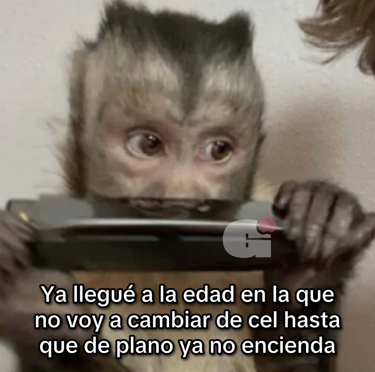 Guarromantico_'s tweet photo. Llegué a esa edad. https://t.co/VfCIzjrlh9