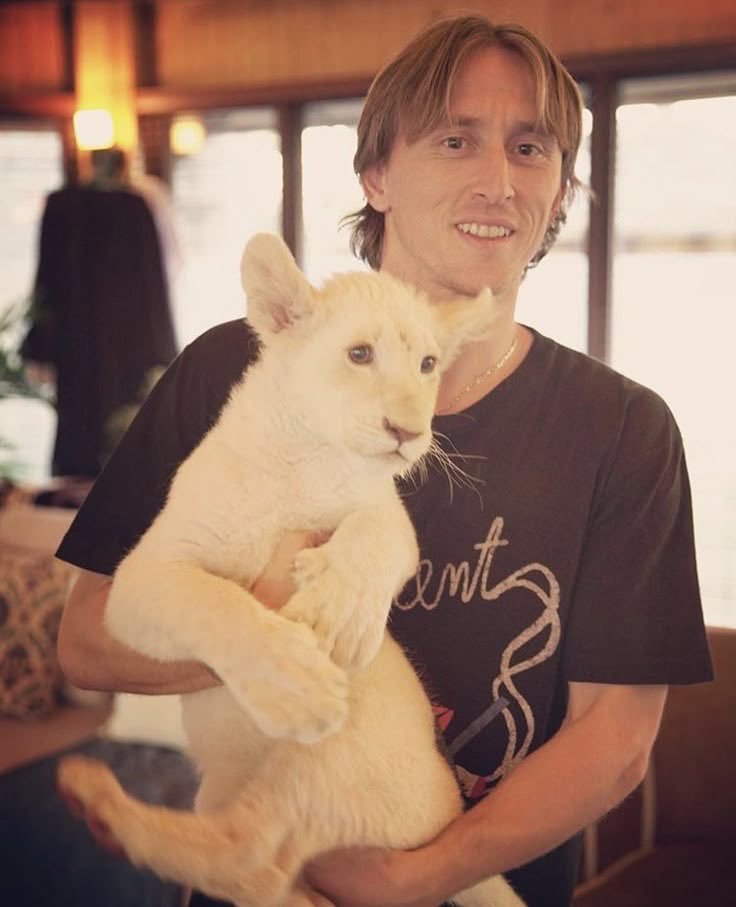 Daily Luka Modrić tweet media