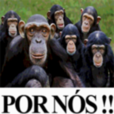Rubycrucis's tweet photo. POR NÓS!! https://t.co/GeCy2c4yKY