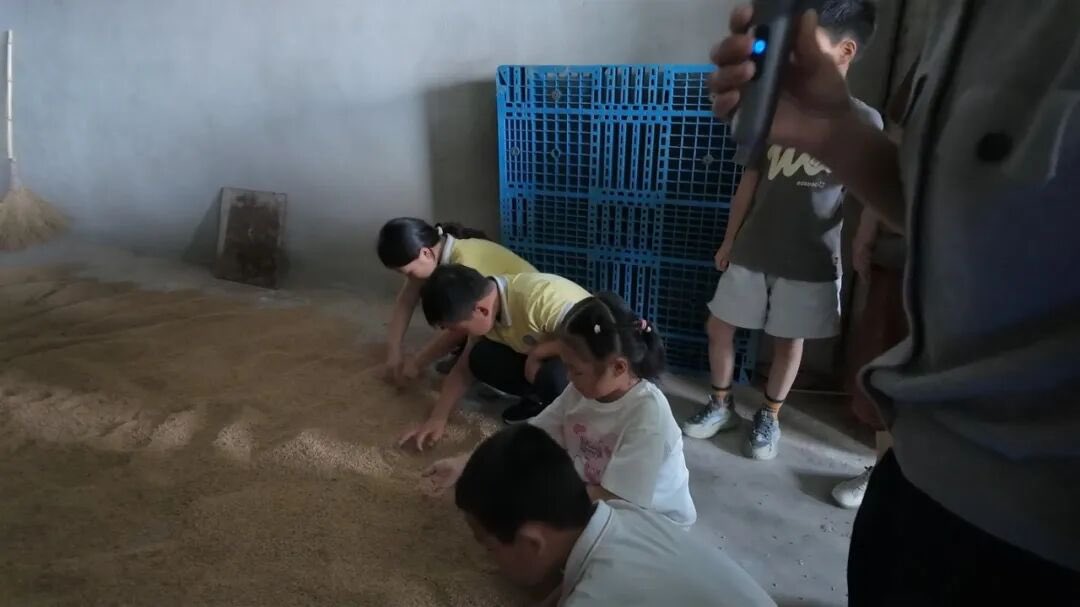 voiceofthecanal's tweet photo. Wheat, drones, and a whole lot of curiosity! 🌾 Kids in #Wangjiangjing just got a hands-on lesson in farming tech—from traditional tools to modern dronesThis cultural hall event made science fun for everyone.#farmingtech #agriculture #fyp https://t.co/grcHJFetcl