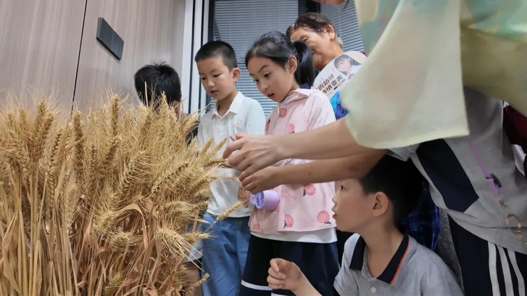 voiceofthecanal's tweet photo. Wheat, drones, and a whole lot of curiosity! 🌾 Kids in #Wangjiangjing just got a hands-on lesson in farming tech—from traditional tools to modern dronesThis cultural hall event made science fun for everyone.#farmingtech #agriculture #fyp https://t.co/grcHJFetcl