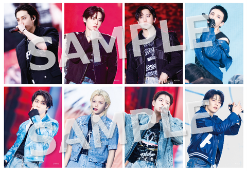 タワ渋kpop】#dominATE #dominATE_JAPAN #StrayKids LIVE Blu-ray