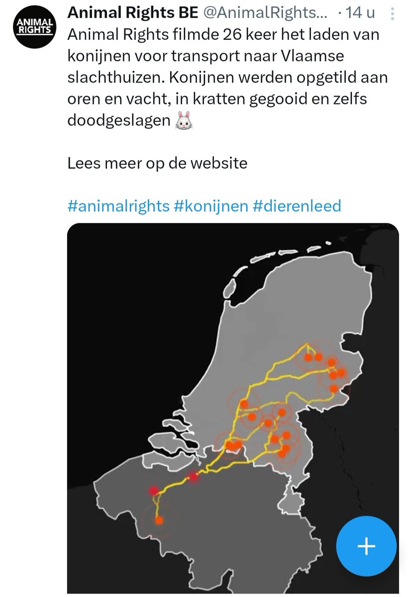 peterjanssenVS's tweet photo. Bedankt @AnimalRightsBE / NL ! 
Dit werk is enorm belangrijk voor de konijnen in nood!!
Zie voor meer actie nieuws over konijnen in de Nederlandse en Belgische vee-industrie op @KonijnInNood https://t.co/zTr2ZIKyar