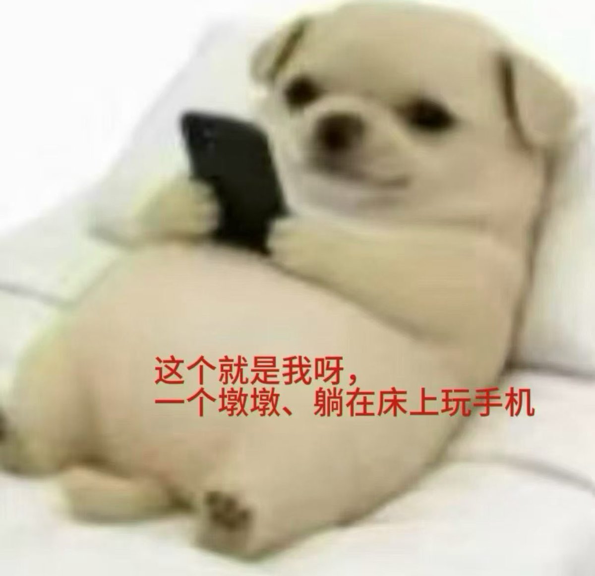 iikittyyoo's tweet photo. https://t.co/PODQF47Zpq