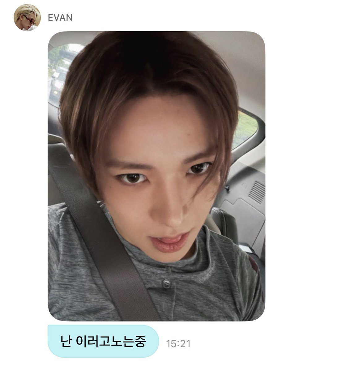 xeeszme's tweet photo. 희냥이~~~~!! 😻😻😻😻😻😻😻 https://t.co/GBnr9CQcKG
