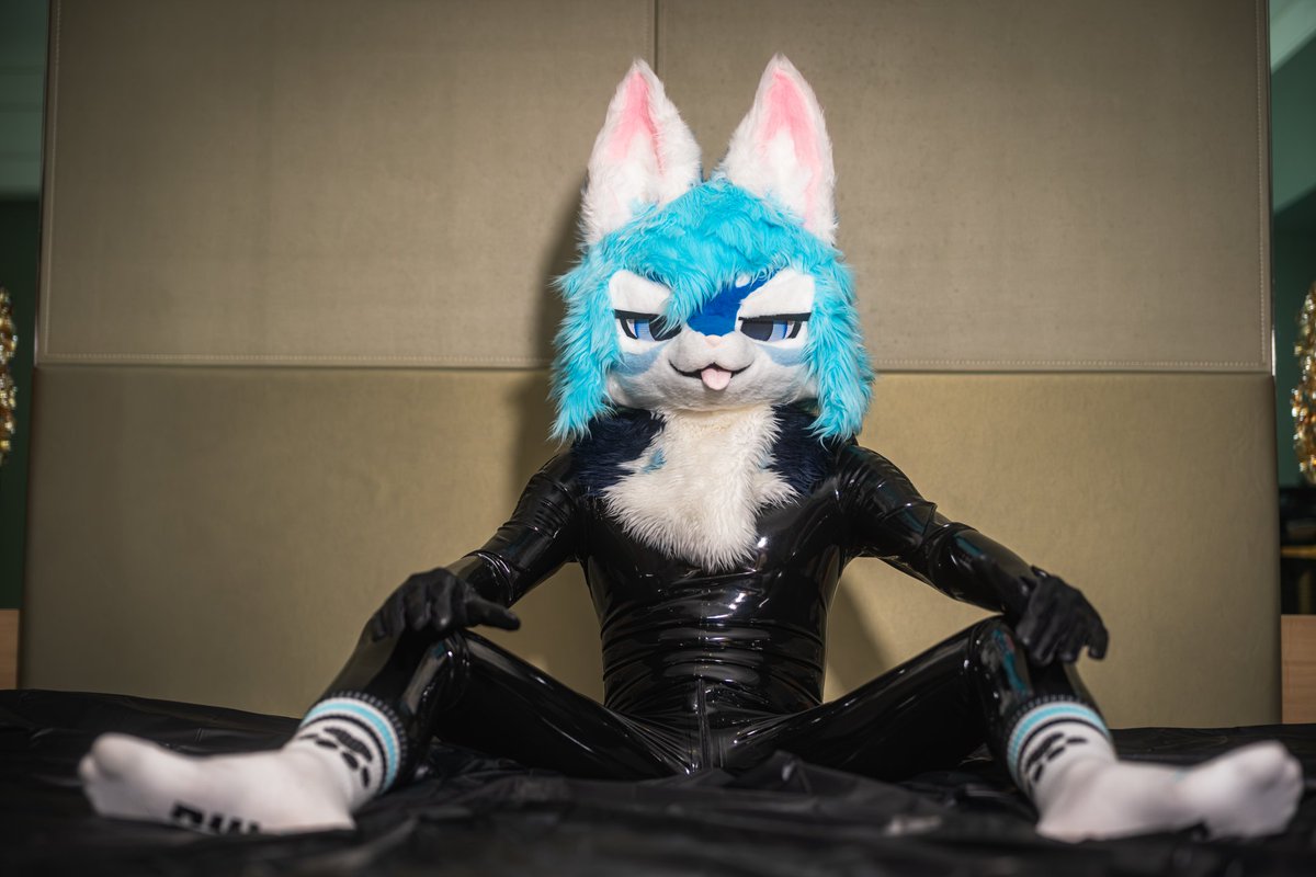 Polin__UwU's tweet photo. #FursuitEveryday
📸:@ROOFnMILUO1011 

來膠朋友 https://t.co/uvqmgeYa5c