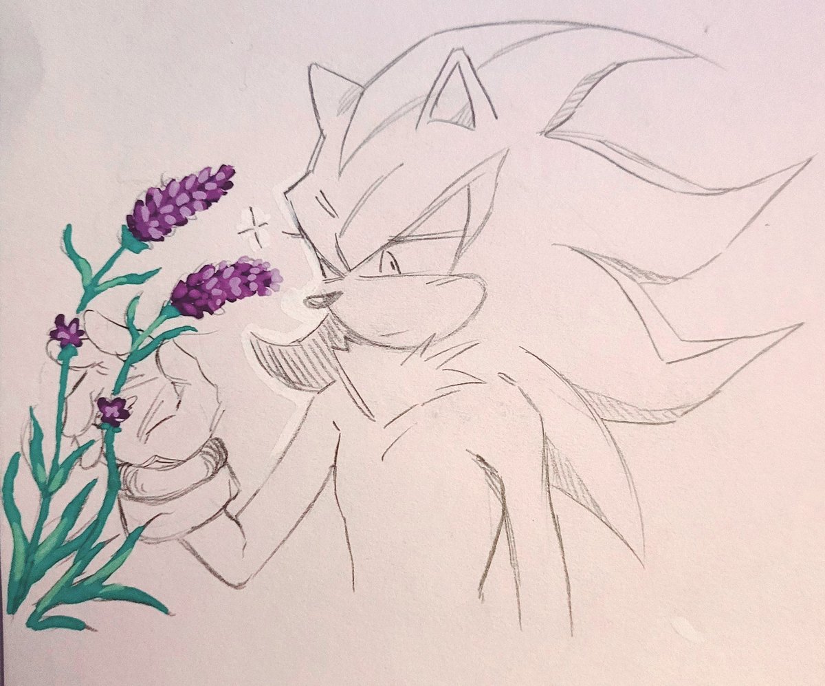 st4rch1ld404's tweet photo. lavender https://t.co/QbO4IUMk5Z