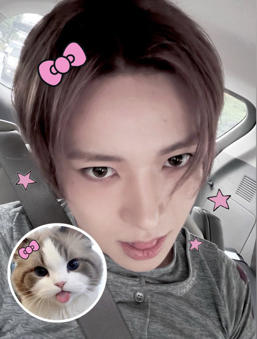 heevankitty's tweet photo. #EVAN 냥 :p♡ https://t.co/PEKS6adXi7