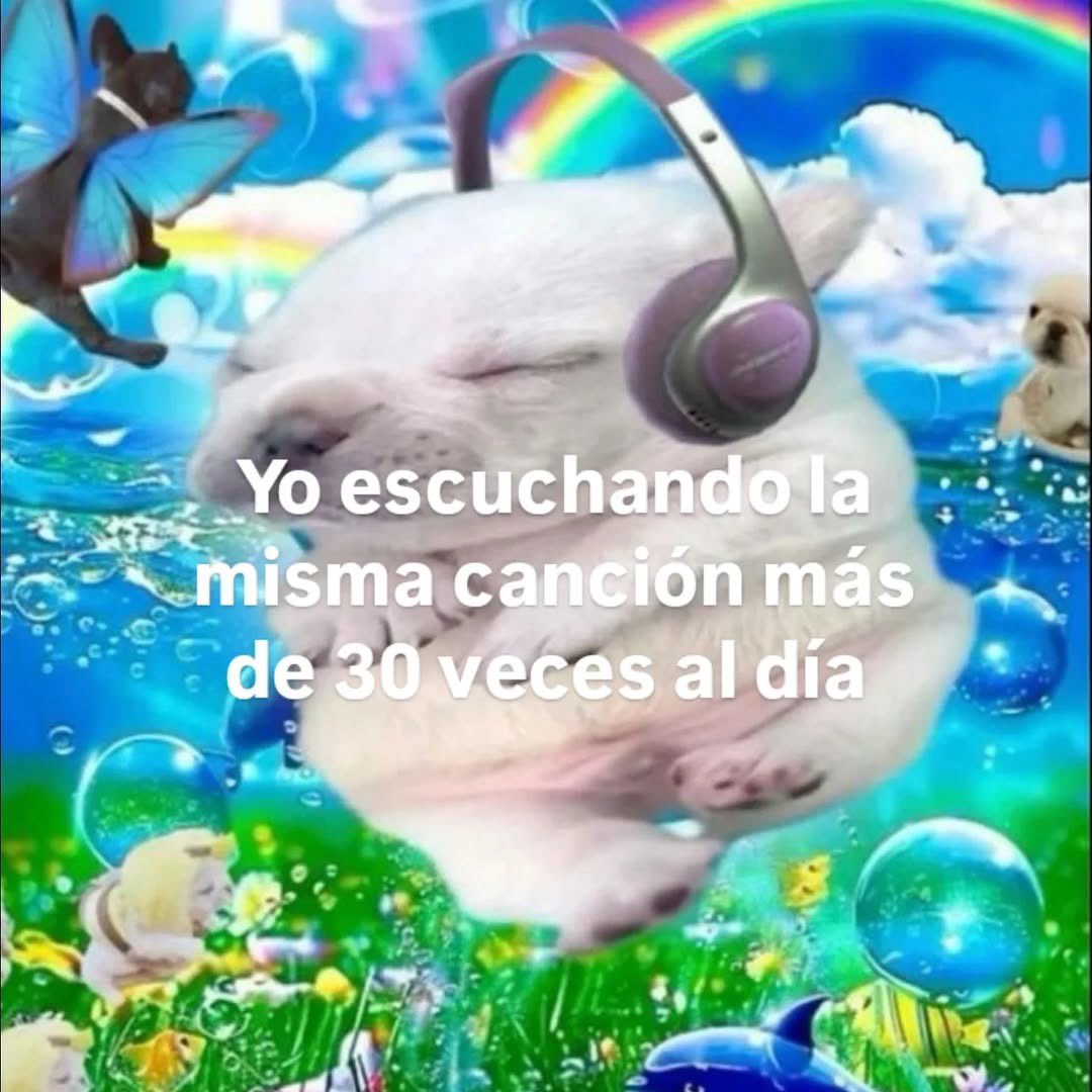 MundoDeBigotes's tweet photo. https://t.co/MkhxeZu7Xu