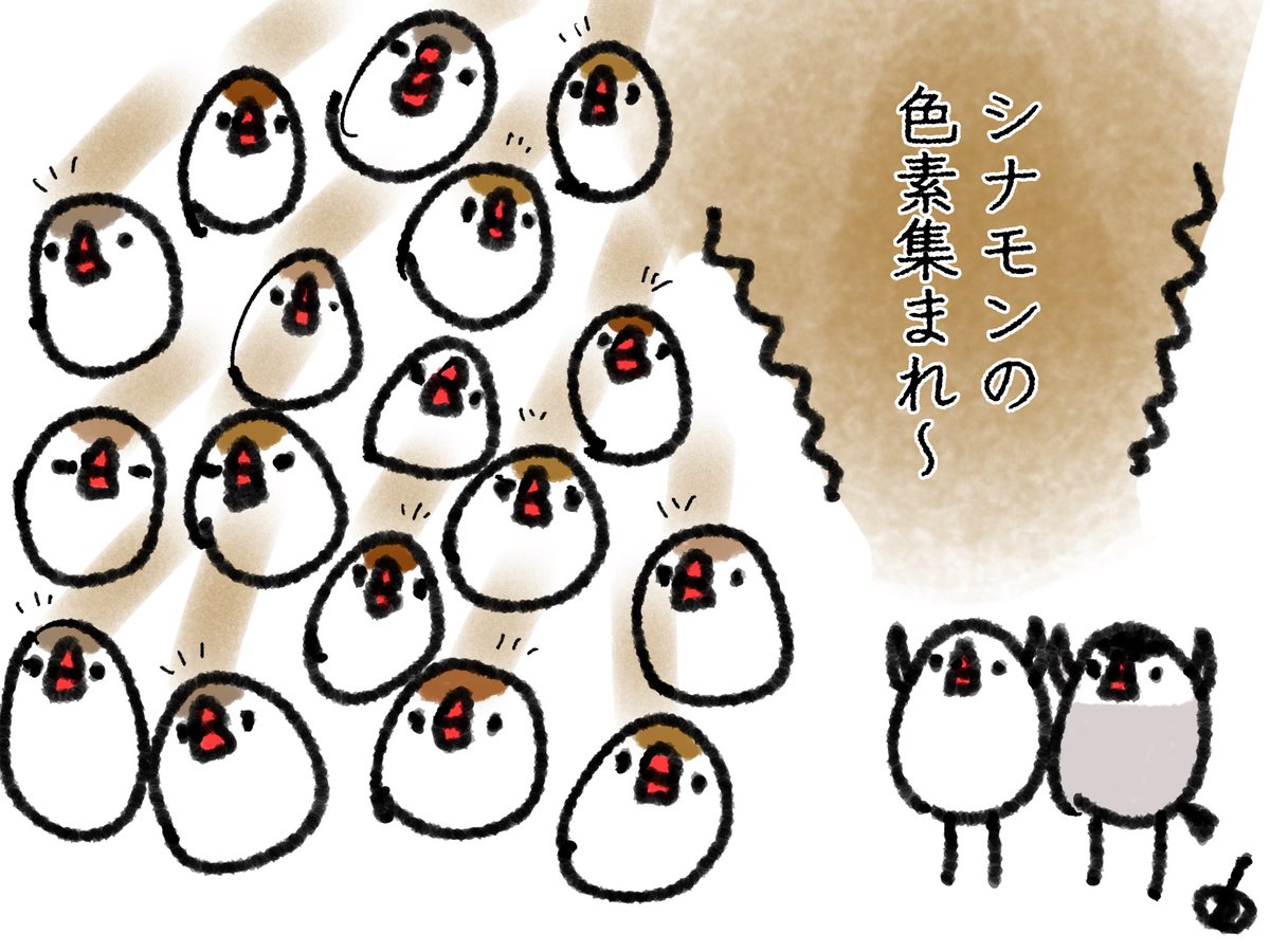 色がわからないあるある #もる文鳥