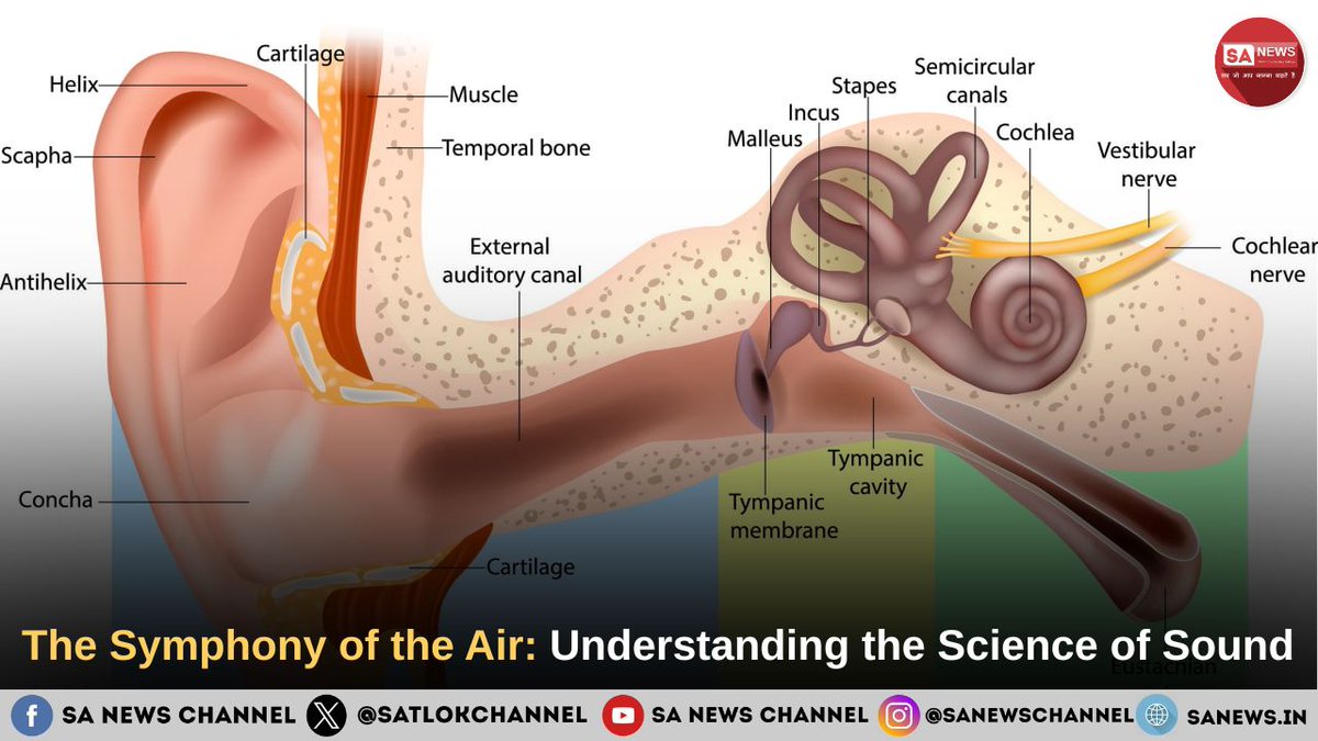 SatlokChannel's tweet photo. Ever wonder how a simple vibration in the air turns into your favorite song? 🎧

From the physics of sound waves to the delicate "inner garden" of your ears, discover the incredible biology of hearing and the simple habit that saves your ears from permanent damage.

Read the full article here: https://t.co/8azsfn56Pl

#ScienceOfSound #HearingHealth #Audiology #BrainPower #HealthyLiving