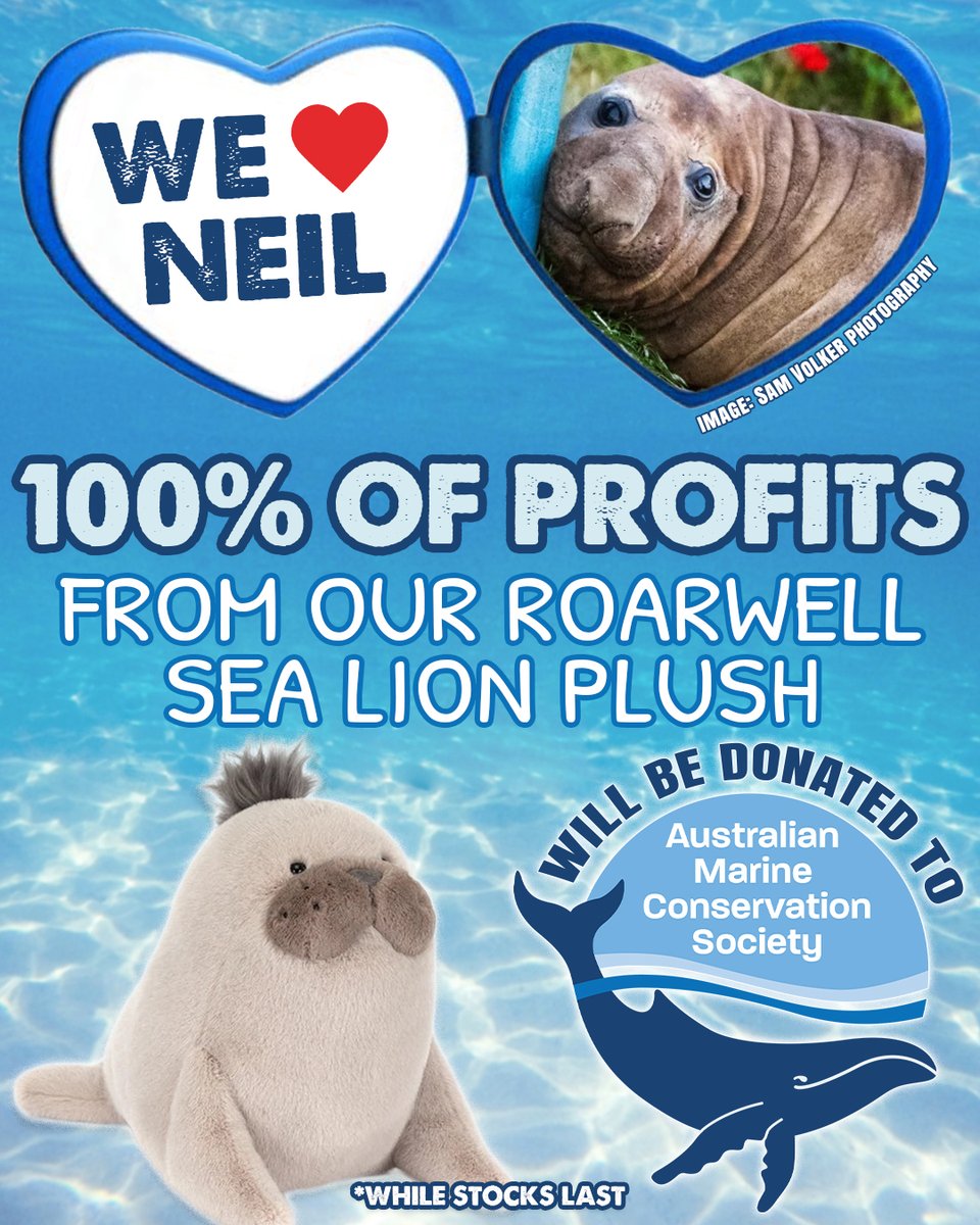 This user loves Neil The Seal ❤ To celebrate the absolute joy