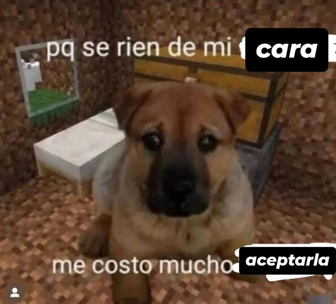 Kaniihdz5's tweet photo. Mi mayor proyectada 💔🥀 https://t.co/pAt53Aaqs0
