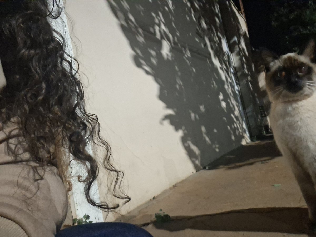 Gabilzi's tweet photo. melhor companhia sempre https://t.co/pnkMpWv43P