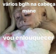 duvidosasbaixa's tweet photo. https://t.co/Ys2CoW6g1A
