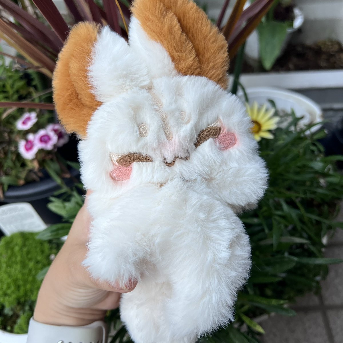 【ゆゆ】ふくちゅげ幻獣 ふくちゅげ幻獣ご機嫌みるくらてちゃんのおうち探しをメルカリ