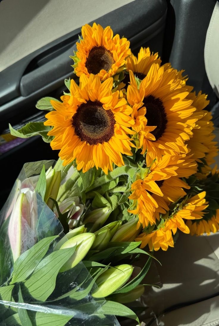 sunflowerchives's tweet photo. Pretty flowers https://t.co/nMxvZwm76R