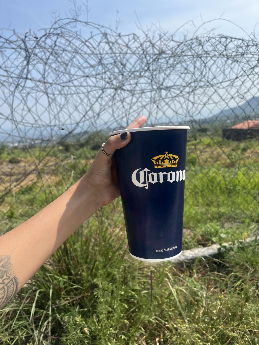 kaesthsof's tweet photo. 🌄😽🍺🪲 https://t.co/DSM8rcFtOP