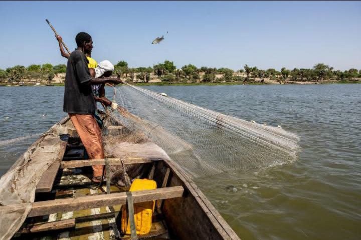 Halima_12gd's tweet photo. Le Lac Tchad rétrécit, mais il est toujours là 🇹🇩
​Depuis les années 60, notre lac a beaucoup diminué à cause des sécheresses. C'est notre devoir à tous de protéger cette ressource précieuse pour l'avenir de la région.
​#LacTchad #Environnement https://t.co/6F7QWRtDPW