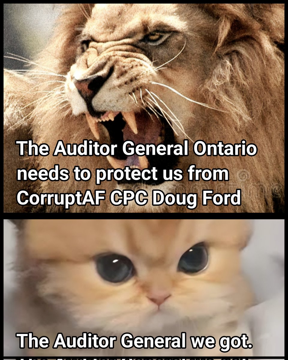 underbite's tweet photo. @Thetrilliumca #TheRCMPisCompromised
#TheOPPisCompromised
The #AuditorGeneral has no teeth.
Is there ANYONE who can bring #criminal #fascist #liar Ford to justice? https://t.co/oOtKTMhL7x