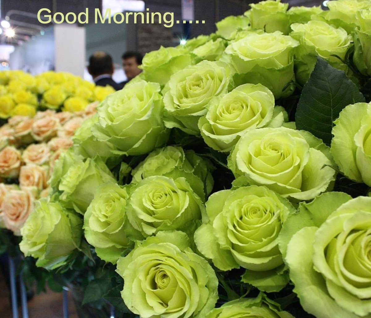 Prattikroy's tweet photo. Good Morning..... https://t.co/l9D0fMFWtG